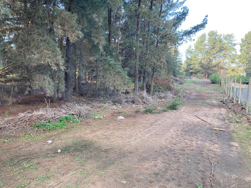 Los Pinos Parcela Subdividida Con Seis Lotes Inscritos Cbr