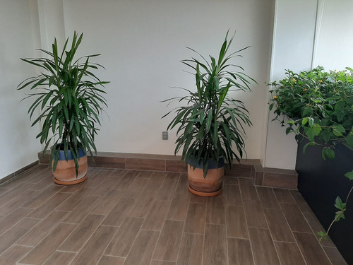Excelente Loft En Venta Amueblado A Colonia Ladron De Guevar