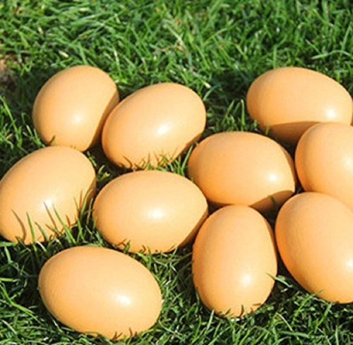Yunko 6pcs Imitacion De Madera Huevos Falsos Huevos De Pa