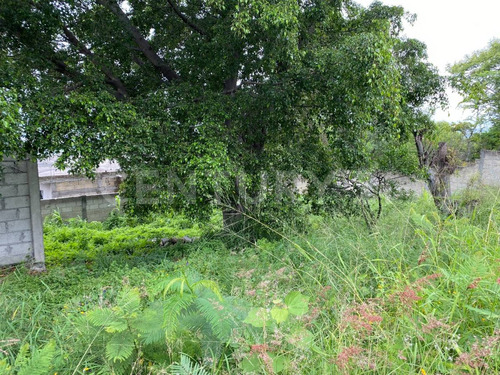 Terreno Bardeado Con Vista Panorámica Al Sur De Emiliano Zapata Morelos