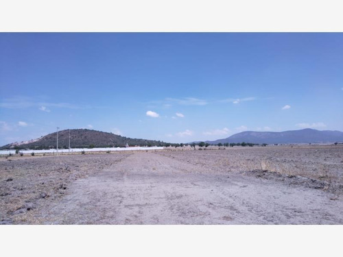 Imagen 6 de 7 de Terreno En Venta General Felipe Angeles