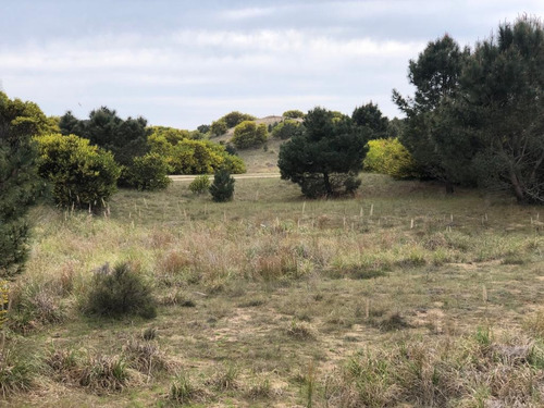 Lote Venta Punta Medanos 1224 Metros