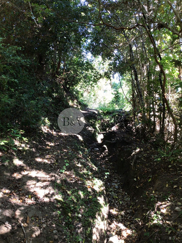 20939 - Sitio En Isla Quihua