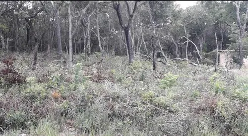 Terrenos Avaré Represa Jurumirim Recanto 2 ( Ref 3 Terrenos)