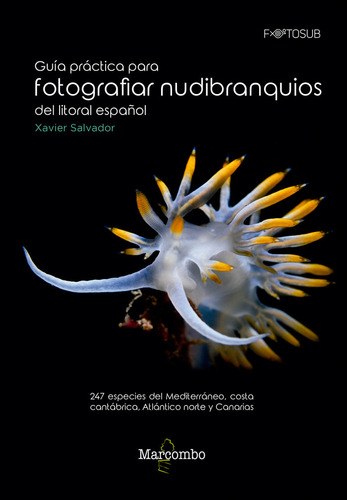 Guia Practica Para Fotografiar Nudibranquios Litoral Espa...