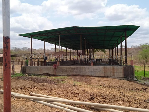 Finca Fondo De Comercio En Venta Agroalimentario Acropecuario Exportacion Limones Mangos 100 Hectareas Galpones Depósitos Casa Piscina Camatagua Estef 24-26751