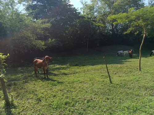 Espectacular Finca