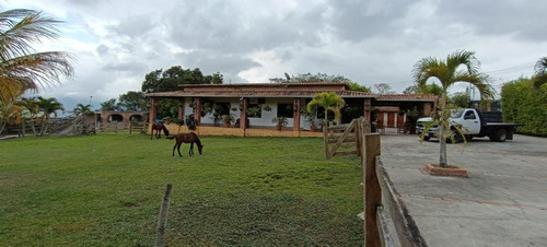Ninoska Bautista Vende Granja Ubicada En El Valle