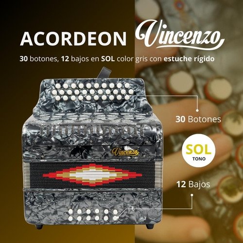 Vicenzo Acordeón 30 Botones 12 Bajos En Sol Gris Con Estuche