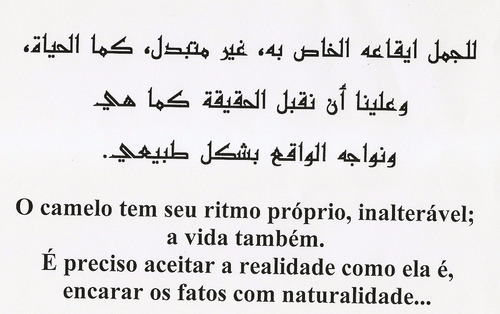 Imagem 3 de 8 de Histórias De Jorge, O Batuta - Folclore, Trabalho, Alegria