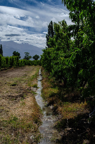 Finca En Venta En Tunuyán