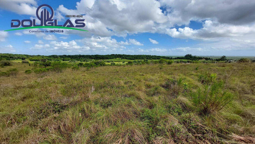 Imagem 12 de 15 de 4 Hectares Ótima Localização - 1714