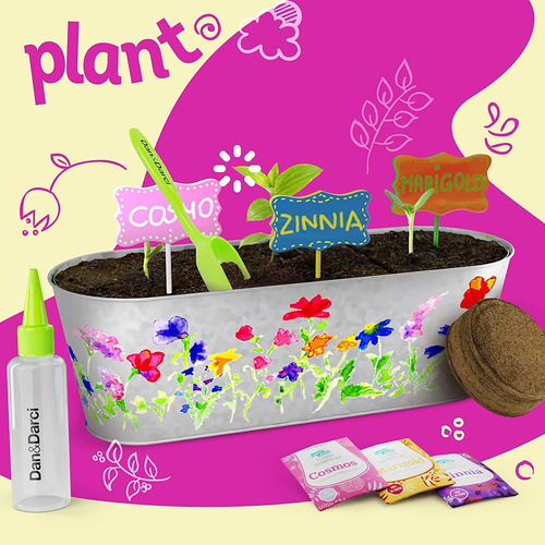 Dandarci Kit De Cultivo De Flores De Pintura Y Plantas Para