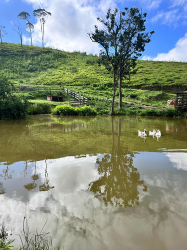 Sítio Em Apiaí Sp Com 143,400m2 (6 Alqueires) Vendo Terreno Casa Urgente!