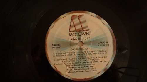 Lp David Rufin - In My Stride (Usado)