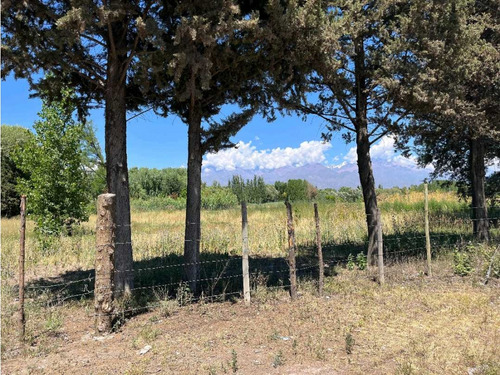 Oportunidad Terreno Frente Las Pérgolas Vista Flores