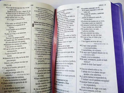 Imagen 7 de 9 de Biblia Reina-valera 1960 Letra Grande Imit Piel Color Morado
