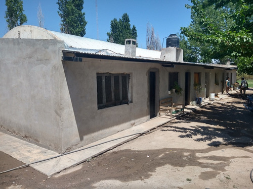 Imagen 5 de 14 de 67,7 Has En Barrancas, Maipú