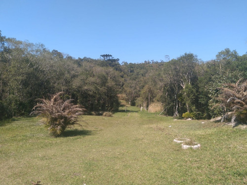 Imagem 7 de 15 de Chácara À Venda Com Lago Riacho 10.000 M² Ótimo Acesso