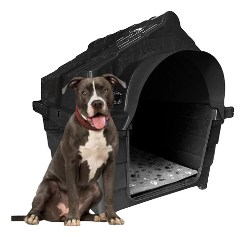 Casinha Plastica Cachorro Cães Numero 6 Cor Preto Desenho N/a