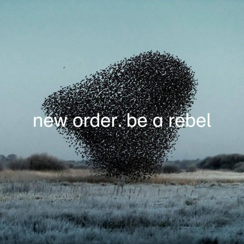 New Order Be A Rebel Gray Limited Usa Import Lp Vinilo