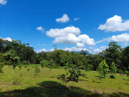 Paraiso Tropical Em Morretes