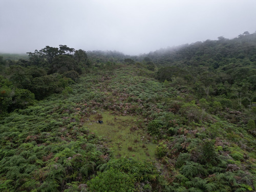Se Vende Finca De 20 Hectáreas En La Culata, Mérida