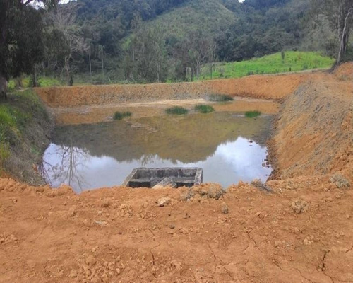 Imagem 25 de 30 de Fazenda - 0195 - 32820324