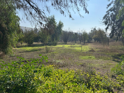 Oportunidad - Excelente Casa Remodelada En Tranquilo Sector