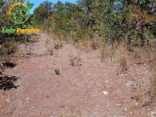 Imagem 7 de 14 de Fazenda À Venda Em Peixe - To - De - 1.263 Hec (pecuária) - 1844