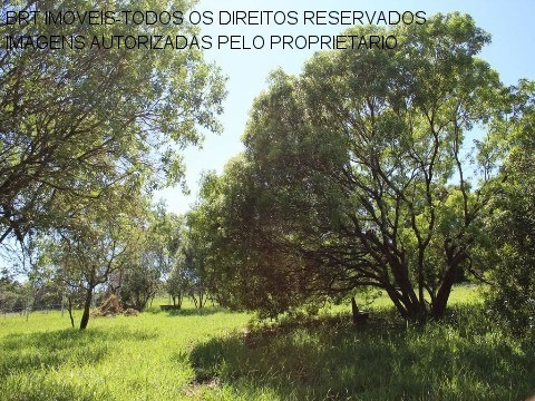 Imagem 7 de 21 de Te00110 - Taipas De Pedra - São Roque - Sp - Te00110 - 33617461