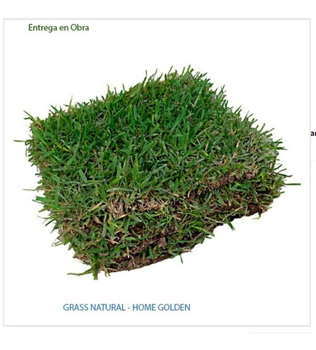 Grass Natural