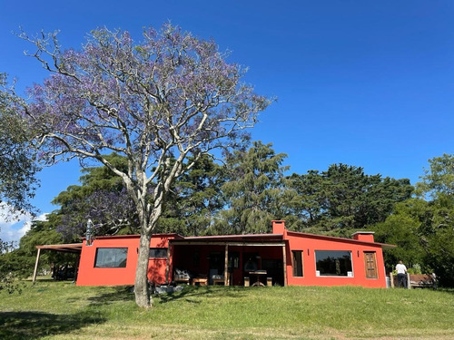 Divina Chacra En Cumbres De La Ballena , Punta Del Este.