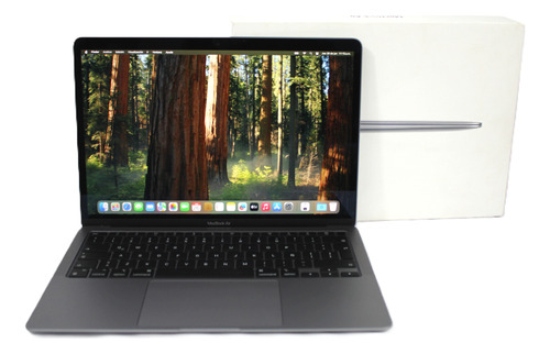 Macbook Air A2337 Gris 13.3 8 Gb Ram, 256 Gb Ssd, Usado (g) Plateado (Usado)