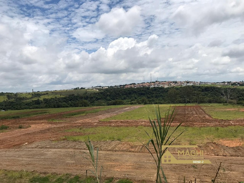 Imagem 14 de 30 de Jardim Novo São Pedro Terrenos A Venda Salto Com 176 M² - Te00025 - 34841753