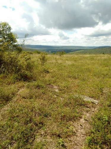 Imagem 3 de 27 de Fazenda Com 377 Tarefas Em Morro Do Chapéu - Bahia - Afd015 - 70334233