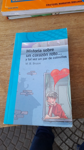 Historia Sobre Un Corazón Roto Brozon Alfaguara 14