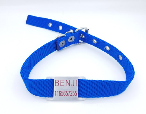 Chapita Para Perro Pasador Chico (modelo 28)+collar Azul