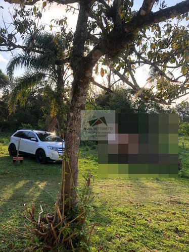 Imagem 5 de 18 de Sítio A Venda No Bairro Ratones Em Florianópolis - Sc. - 4298-1