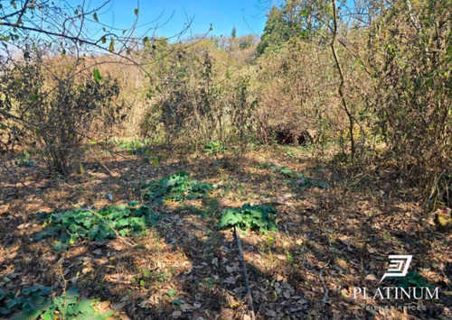 Venta Terreno / Lote San Lorenzo, Salta