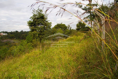 Imagem 6 de 8 de Área À Venda Em Dois Córregos - Ar009235