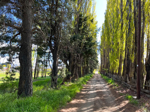 Excelente Fracción Con Vivienda En Dina Huapi