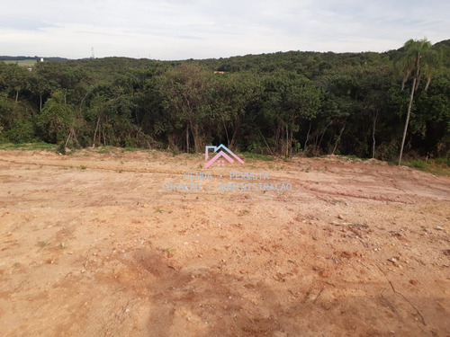 Imagem 14 de 15 de Venda E Locação De Imóveis Em Jarinu. - Te00003 - 68715580