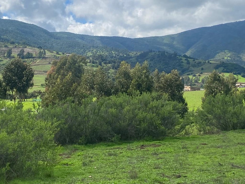 Terrenos De 20.000mts2 A 10 Km De Maitencillo