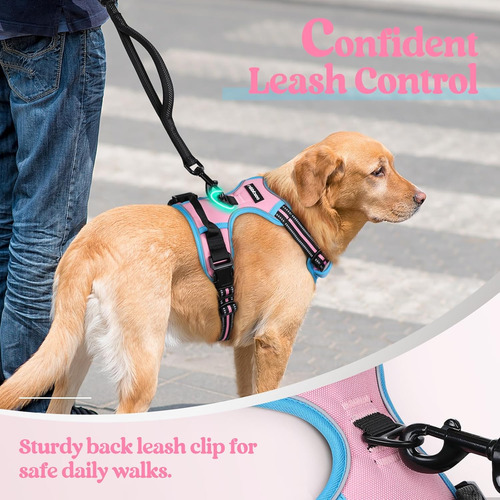 Arnés Para Perro Rabbitgoo Sin Tirones, Ajustable, Talla M
