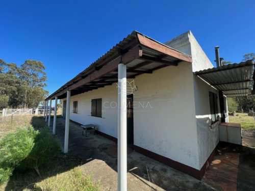 Imagen 23 de 30 de Campo 10 Has Y Media Con Casa Y Manantial Con Agua Permante. Consulte!!!!!!!!! - Zona Rural Zona Rural