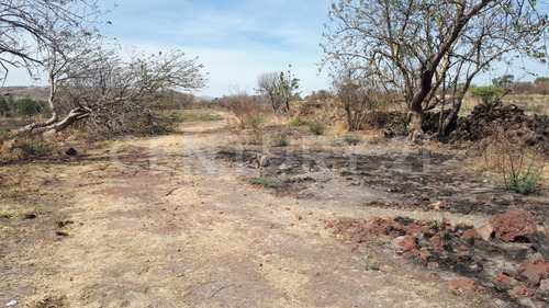 Terreno  Venta En Tololotlan,jalisco.