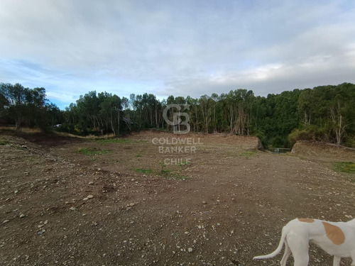 Espectacular Comercial Con Acceso Carretera Y Río