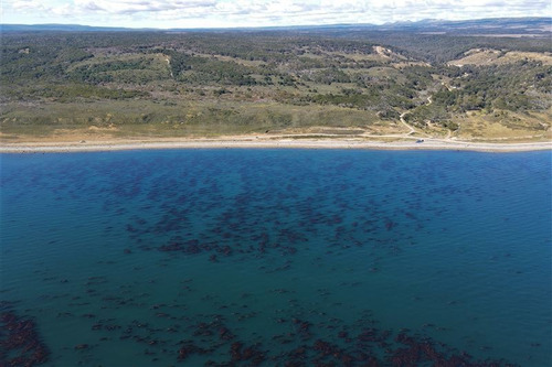 Imagen 11 de 15 de Agrícola En Venta En Punta Arenas