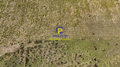 3 Hectáreas En Migues Con Aguada Y Linda Vista